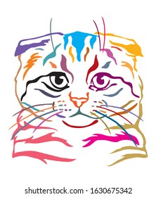 Colorful decorative portrait of scottish fold cat, contour vector illustration in different colors isolated on white background. Image for design and tattoo. 