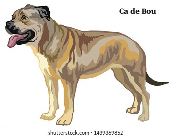 Colorful decorative portrait of standing in profile Ca de Bou, vector isolated illustration on white background
