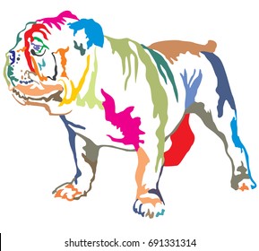 Colorful decorative portrait of standing in profile English bulldog, vector isolated illustration on white background