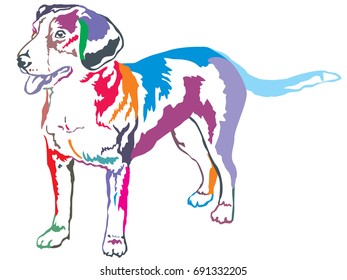 Colorful decorative portrait of standing in profile Entlebucher Mountain Dog, vector isolated illustration on white background