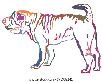 Colorful decorative portrait of standing in profile Shar Pei, vector isolated illustration on white background