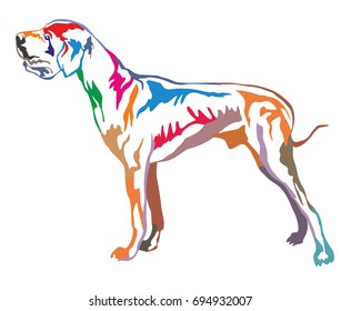 Colorful decorative portrait of standing in profile Great Dane, vector isolated illustration on white background