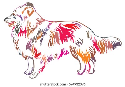 Colorful decorative portrait of standing in profile Sheltie(Shetland Sheepdog), vector isolated illustration on white background