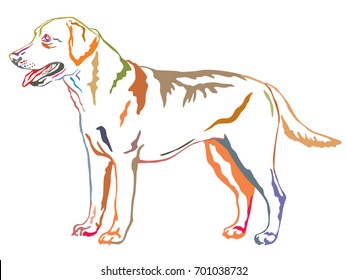 Colorful decorative portrait of standing in profile dog Labrador Retriever, vector isolated illustration on white background