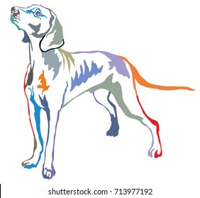 Colorful decorative portrait of standing in profile Weimaraner, vector isolated illustration on white background