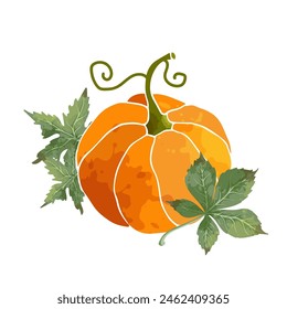 Calabaza decorativa de colores, calabaza con hojas de otoño. Vector gráfico.