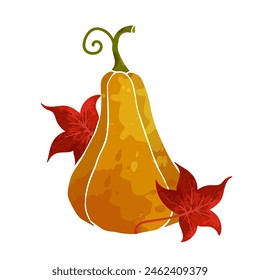 Colorful decorative pumpkin, squash with autumn leaves. Vector graphics.