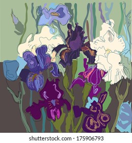 colorful delicate irises.