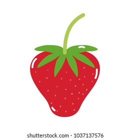 colorful delicious strawberry fresh and organic fruit