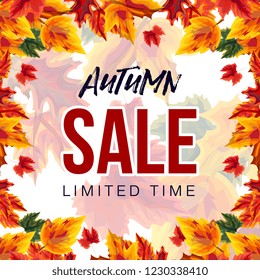 Colorful design of autumn sale promotion with vibrant leaves on white background 