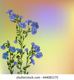 Colorful design card with a bouquet of flowers of flax. Flax plant. Blooming flax. Decoration bouquet of blooming flax.