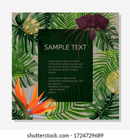 Colorful design poster. Exotic tropical leaves and flowers with text area.