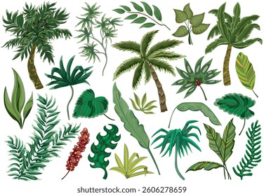 Colorful design set with colorful tropical leaves, palm trees, jungle exotic plants isolated on white. Vintage clipart cartoon collection, botanical floral green nature concept