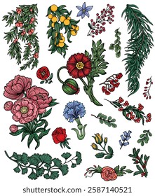 Colorful design vector set with flowers, leaves, fruit and botanical elements. Vintage floral collection with hand drawn illustrations isolated on white. 