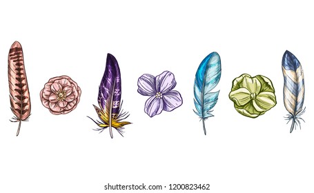 Colorful detailed bird feathers and flowers isolated on white background. A set of beautiful bird plumage. Vector illustration