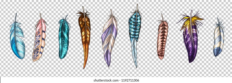 Colorful detailed bird feathers, isolated on a transparent background. A set of beautiful bird plumage. Vector illustration