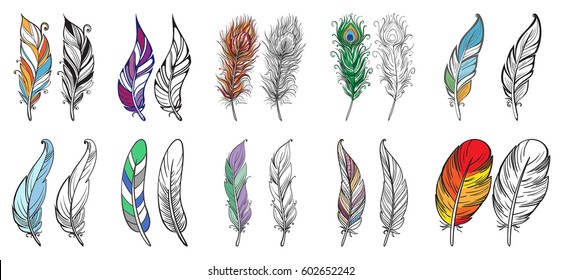 Colorful detailed bird feathers, watercolor design set. Hand drawn editable elements, realistic style, vector illustration. Ethnic Colored feathers, seamless background,sketched collection.