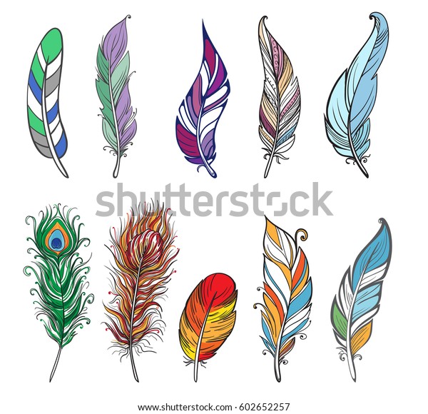 Colorful Detailed Bird Feathers Watercolor Design Stock Vector (Royalty ...