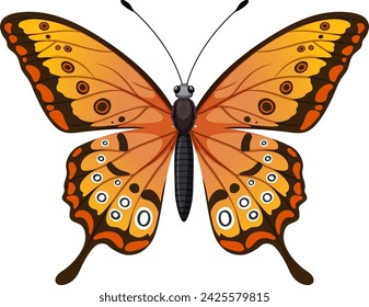 Colorful detailed butterfly with symmetrical wings