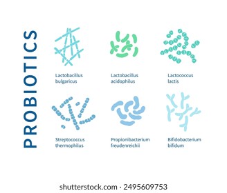 Colorful and detailed diagram showcasing beneficial bacteria and probiotics.