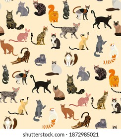 Colorful different cat breeds seamless pattern. Vector Illustration.