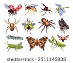 Colorful different insects. Various insect closeup beetle with wings antenna, bug caterpillar larvae coccinellidae grub arthropod spider, swanky bugs cartoon vector illustration original artwork