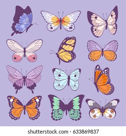 Colorful different summer colorfullbutterfly wings vector top view illustration isolated on background.