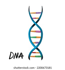 Farbige DNA-Biologie-Vererbung, Vektorgrafik mit Aquarellzeichnung mit Pinseltextur