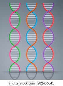 colorful DNA elements and molecules for science and medicine design. DNA strands