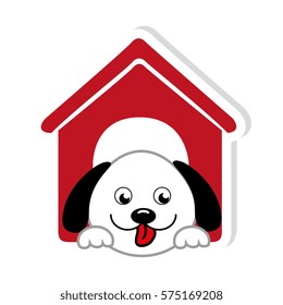colorful dog animal pet