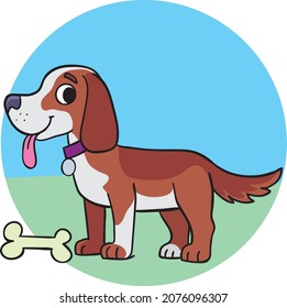colorful dog with a bone in front on a wide grassy meadow
