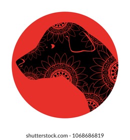colorful dog with mandala pattern