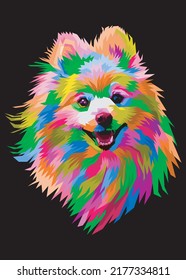colorful dog pomeranian head with cool isolated pop art style backround.