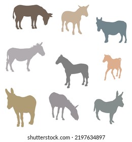 Colorido conjunto de iconos de vectores de animales domésticos de burro. Juego de iconos de burros