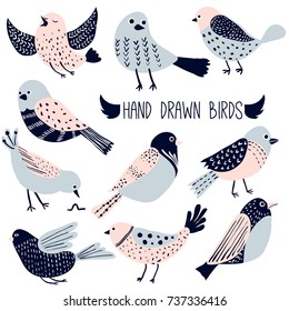 Colorful doodle bird collection. Collection of cute hand drawn birds