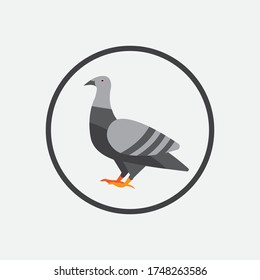 colorido icono de paloma. diseño vectorial