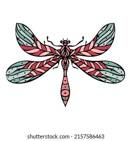 Colorful dragonfly hand drawn isolated vector illustration
