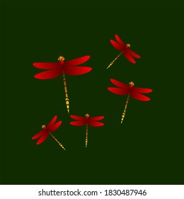 Colorful dragonfly Illustration vector on dark background