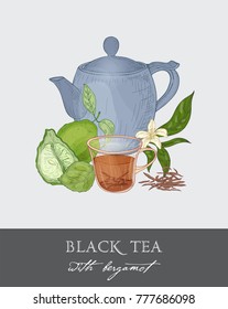 Colorful drawing of blue teapot, cup, tea leaves, flowers, whole and half cut green bergamot fruit on gray background. Tasty traditional beverage. Vector illustration hand drawn in antique style. 