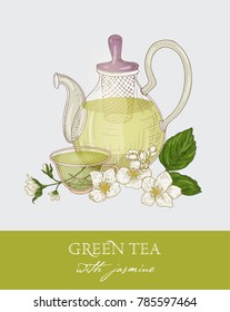 Colorful drawing of glass teapot with strainer, cup of green tea, jasmine leaves and flowers on gray background. Organic traditional beverage. Vector illustration hand drawn in antique style. 
