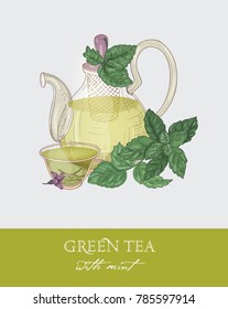 Colorful drawing of glass teapot with strainer, cup of green tea, organic mint leaves and flowers on gray background. Tasty natural beverage. Elegant vector illustration hand drawn in vintage style.