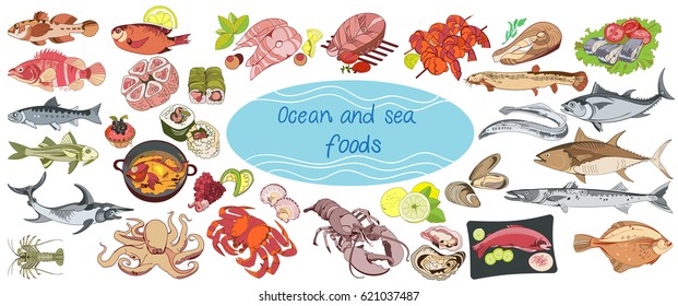 Colorful drawing marine food collection with sushi rolls caviar shrimps sea and ocean animals fishes isolated vector illustration