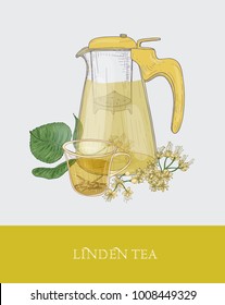 Colorful drawing of transparent pitcher with strainer, cup of floral tea or herbal infusion and linden branch with flowers and leaves hand drawn in vintage style. Vector illustration for label, promo.