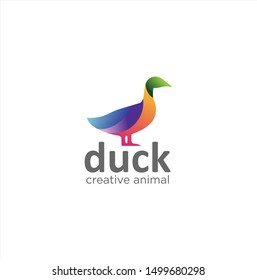 Colorful Duck Logo Vector Design Creative sign .
