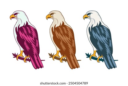 Colorful Eagle set or collection vector Illustration. Colorful Eagle