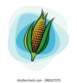 colorful ear of corn