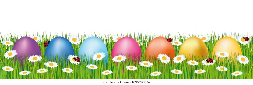 Colorful easter eggs hidden in a field. Spring vector banner with daisies and ladybugs.