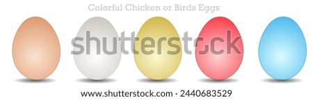 Colorful eggs. Chicken, bird egg pointing, colored egg. Naturally dyed easter eggs. White, brown, blue, yellow, red, gray. Vector illustration