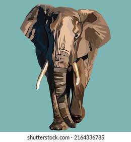 Colorful of elephant vector illustration