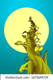 Colorful engraved vintage drawing beanstalk worm eye view growing to the moon vector illustration isolated on night turquoise green background